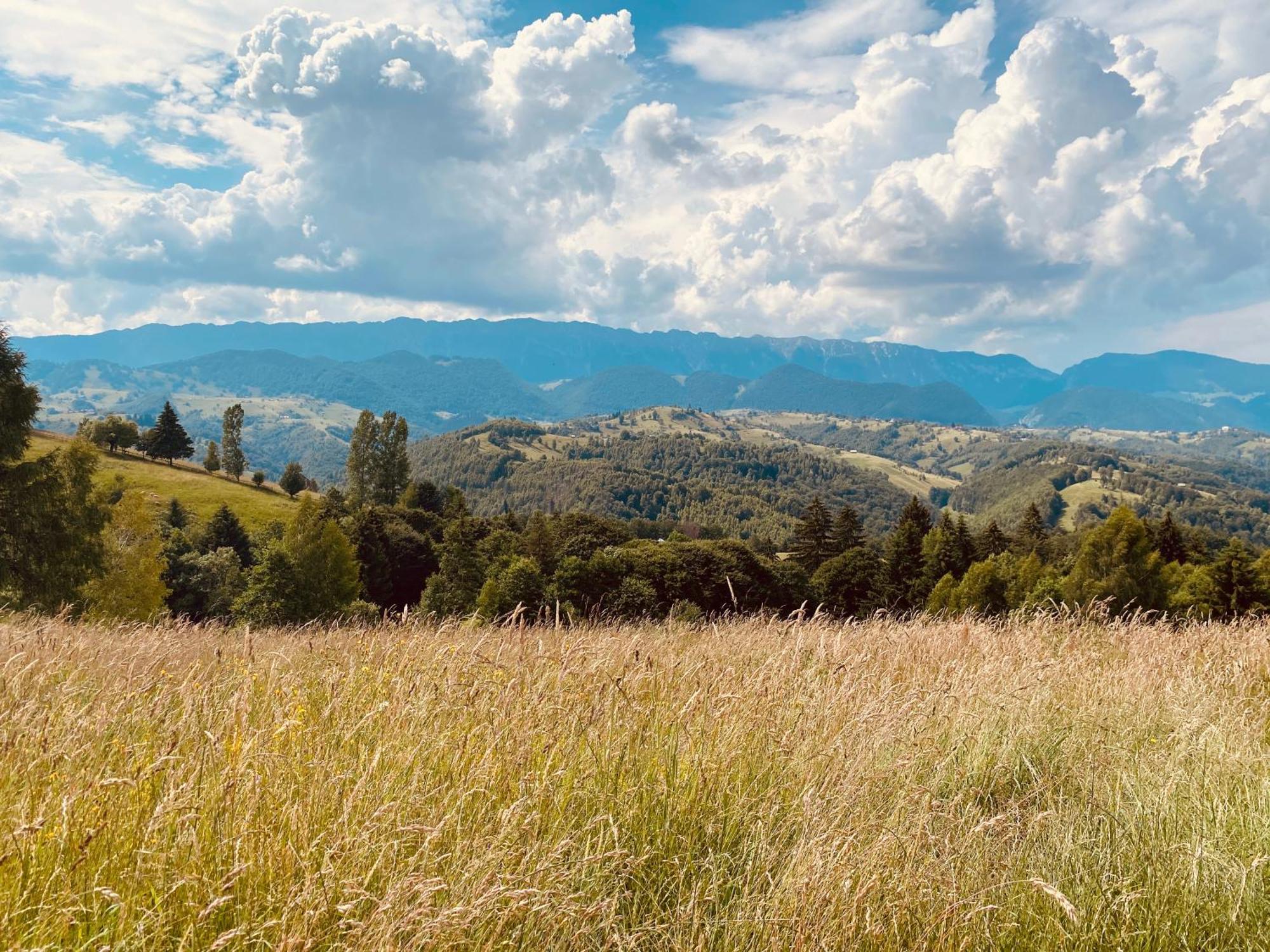 Amont Chalet Pestera  Kültér fotó