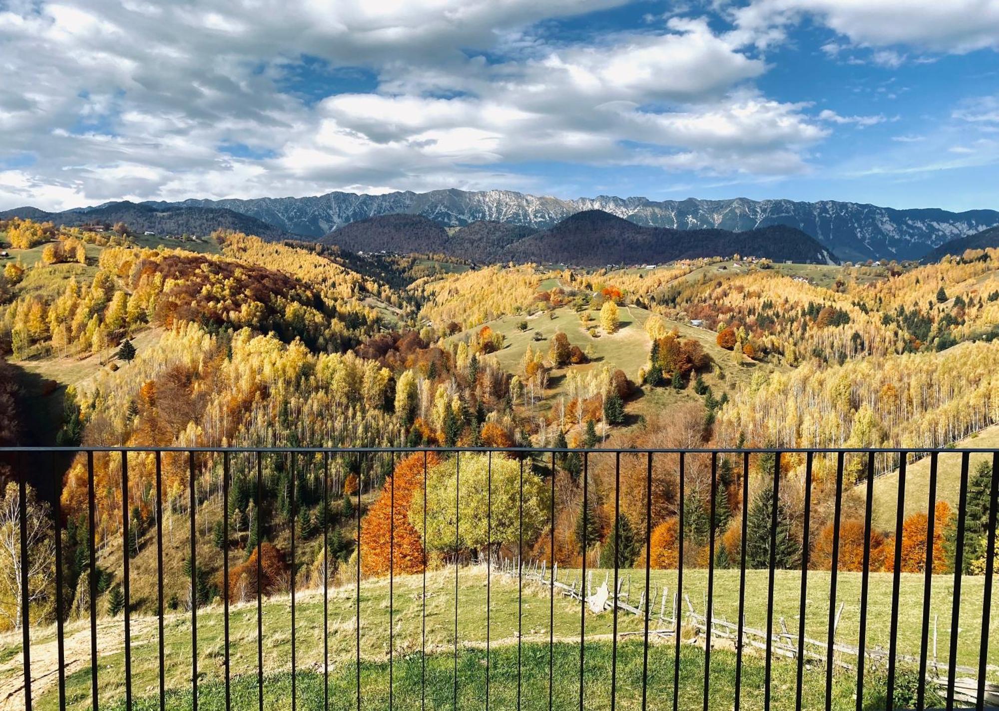 Amont Chalet Pestera  Kültér fotó
